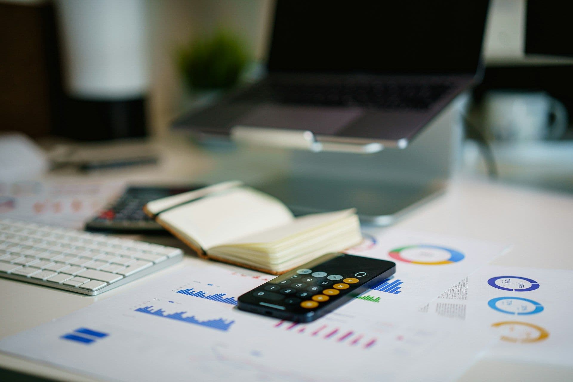 CPA firm partner reviewing accounting software on computer